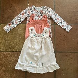 2T Girls Fall/Spring/Summer Lot Bundle